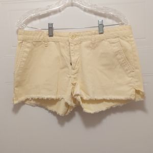 Hollister shorts shorts size 10